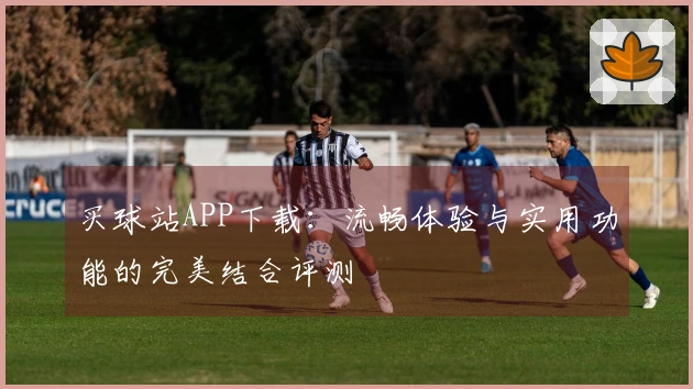 买球站APP下载：流畅体验与实用功能的完美结合评测