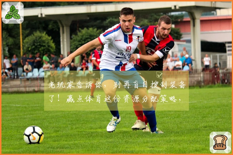 老玩家告诉你，别再盲目搜刮装备了！赢点体育这份资源分配策略，让你事半功倍。