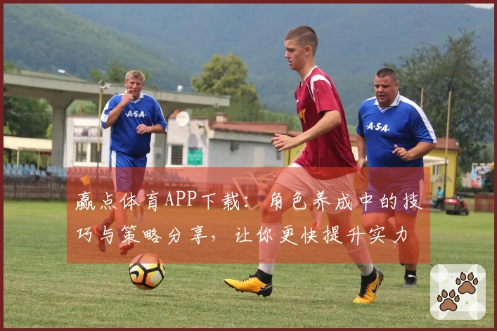 赢点体育APP下载：角色养成中的技巧与策略分享，让你更快提升实力